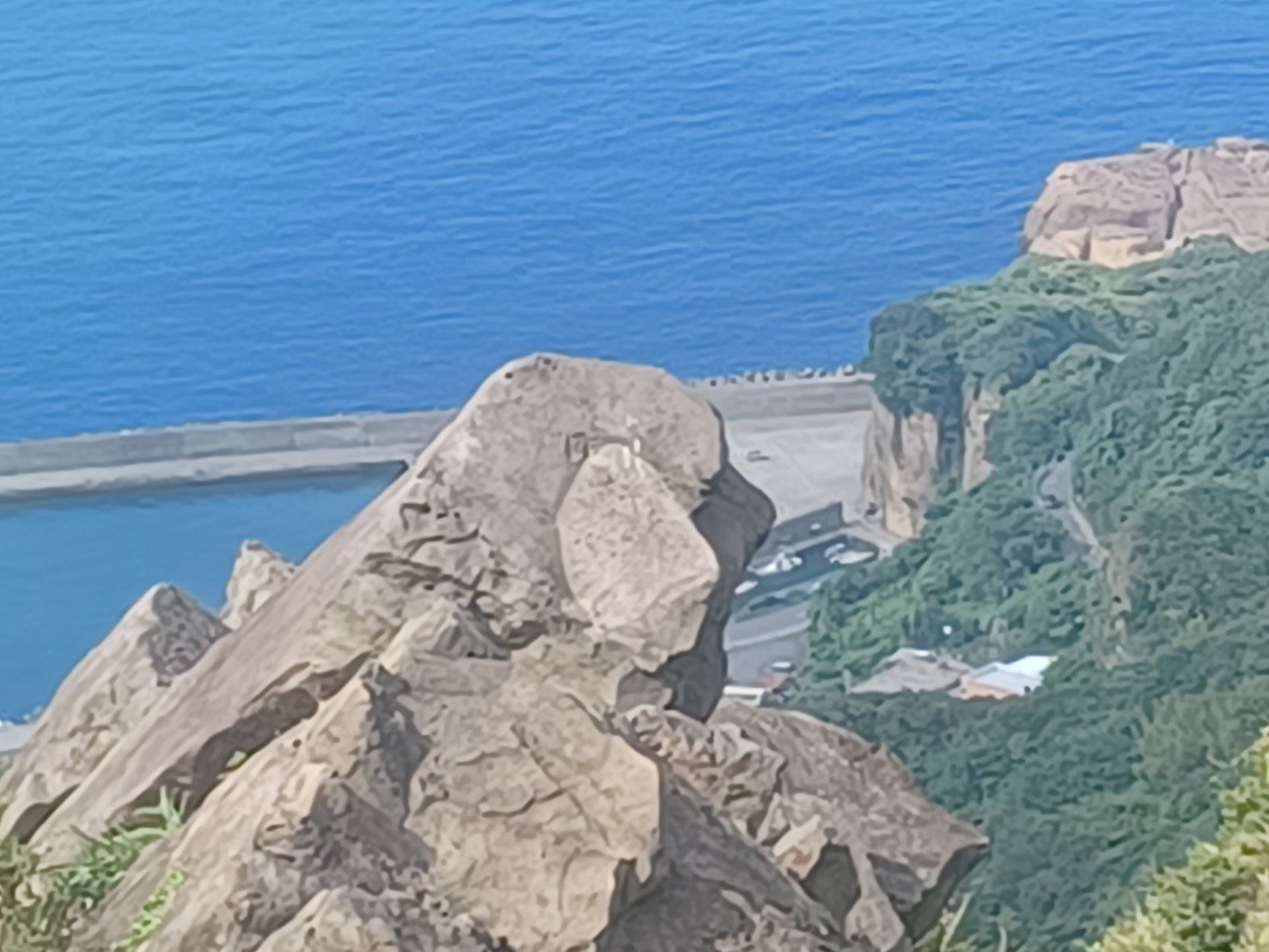 世界旅遊日倒數 新北市5大動物造型景點等您來探索 - 早安台灣新聞 | Morning Taiwan News