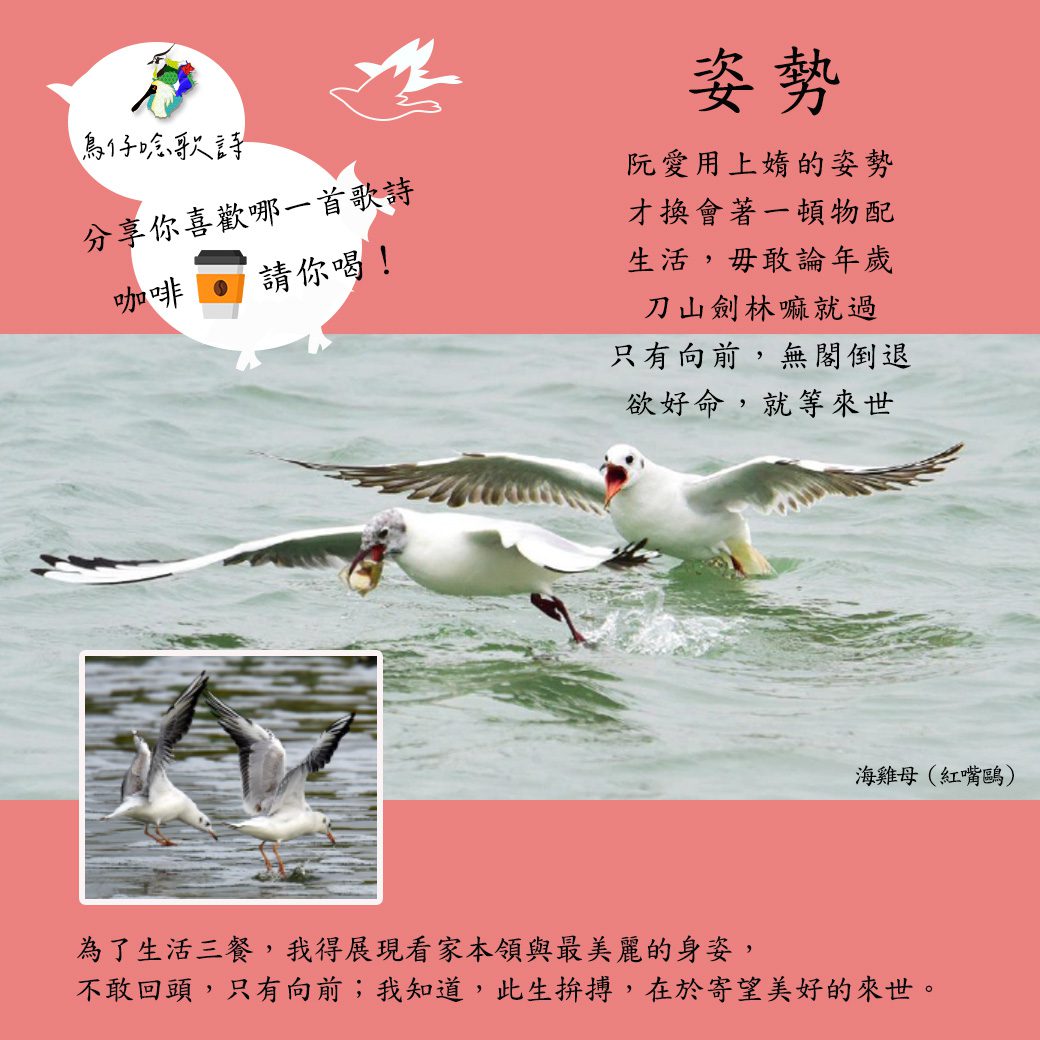 2023觀鳥馬拉松趣味生態教育　鳥仔唸歌送咖啡好康最後三天 - 早安台灣新聞 | Morning Taiwan News