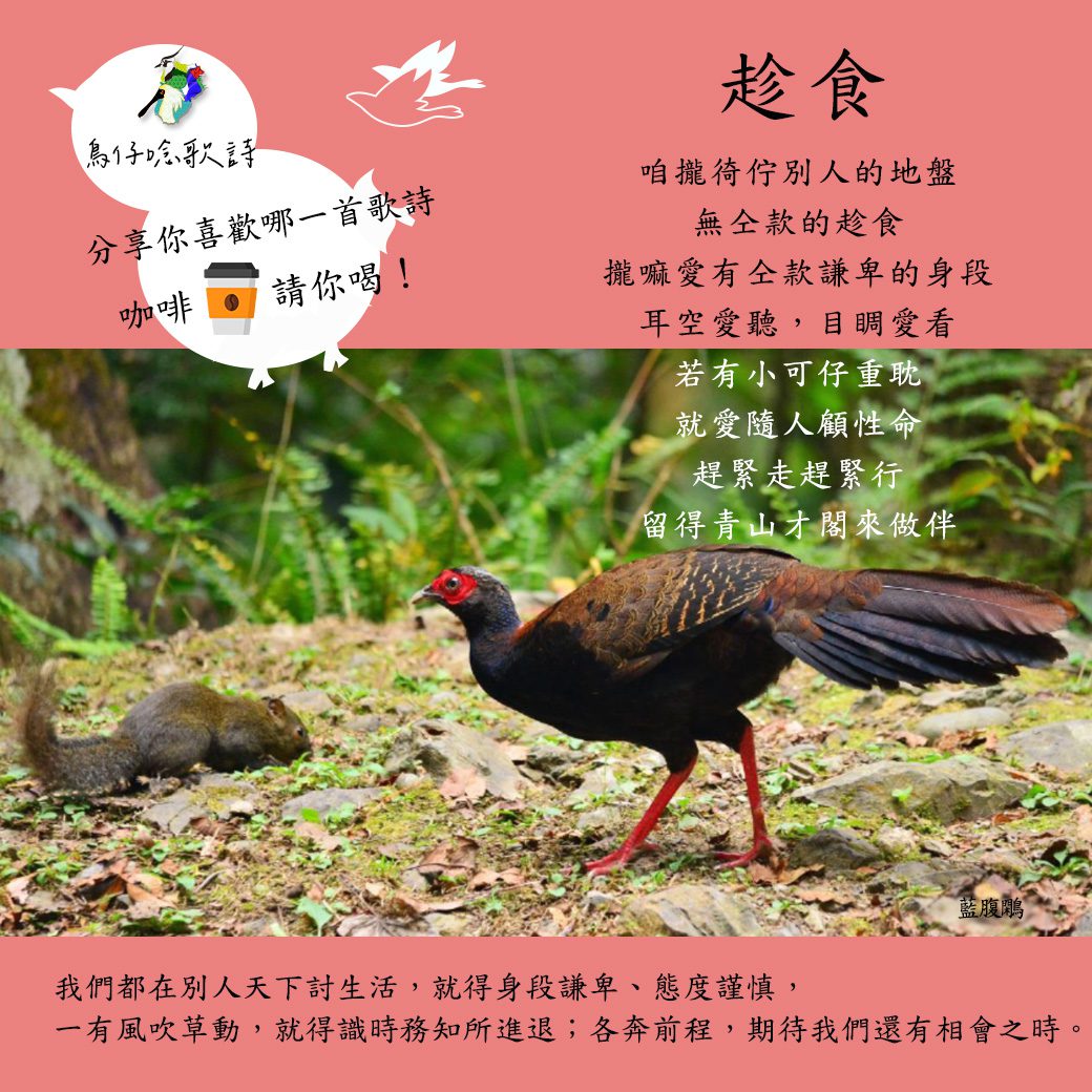 2023觀鳥馬拉松趣味生態教育　鳥仔唸歌送咖啡好康最後三天 - 早安台灣新聞 | Morning Taiwan News