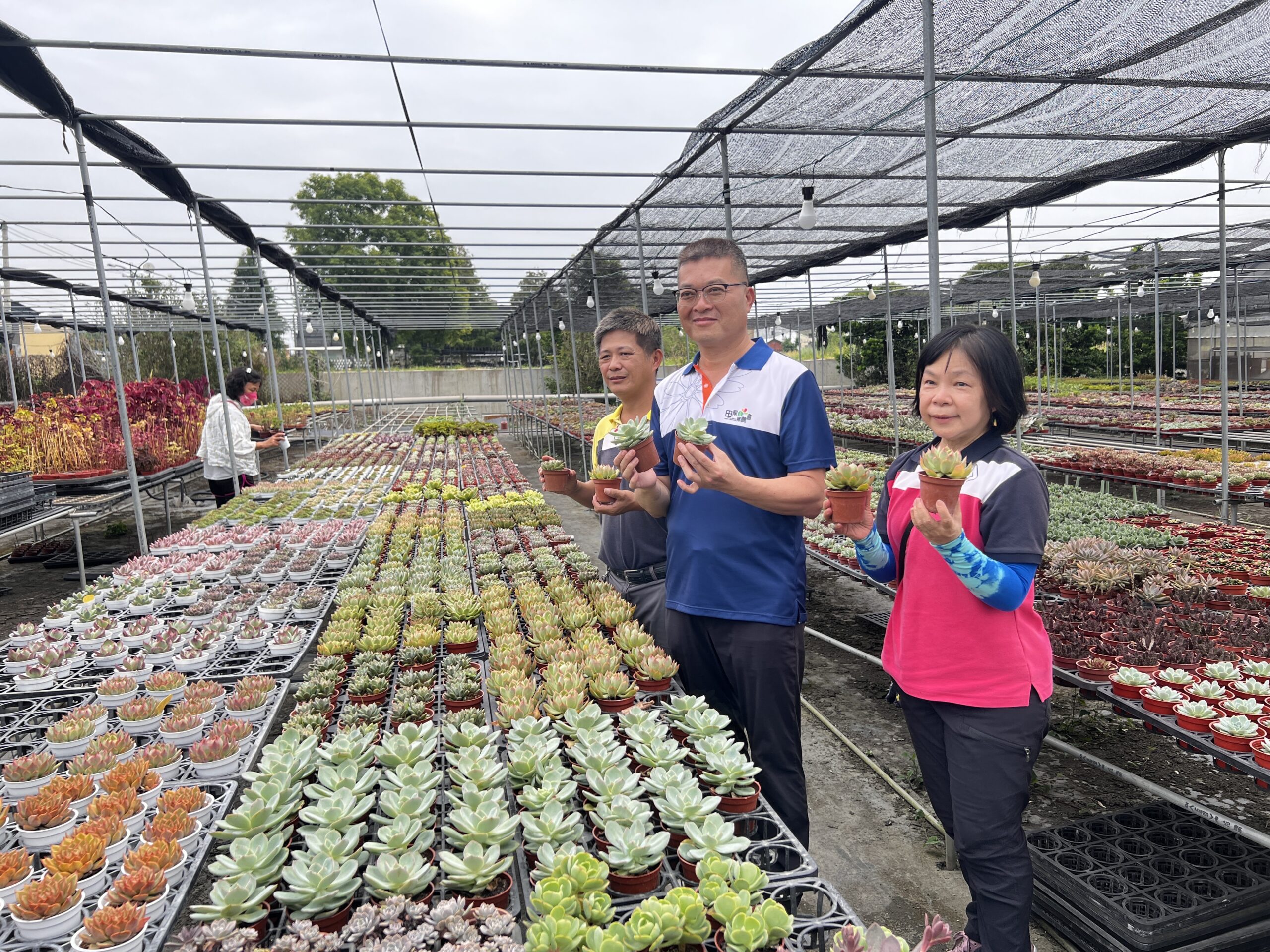 影音/花現田尾的美，植物產地市集 - 早安台灣新聞 | Morning Taiwan News