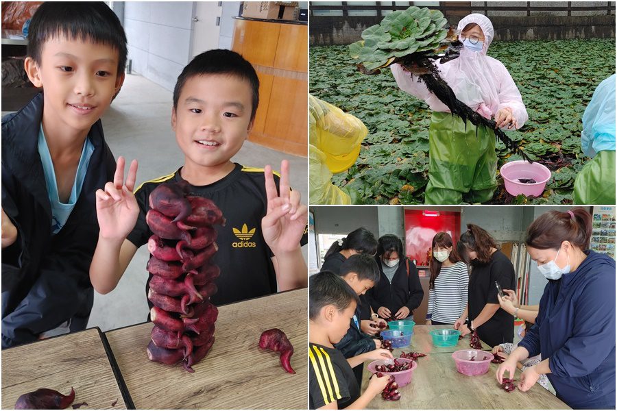 從田間到餐桌　聖母專校幼保食農教育　發現在地好味道 - 早安台灣新聞 | Morning Taiwan News