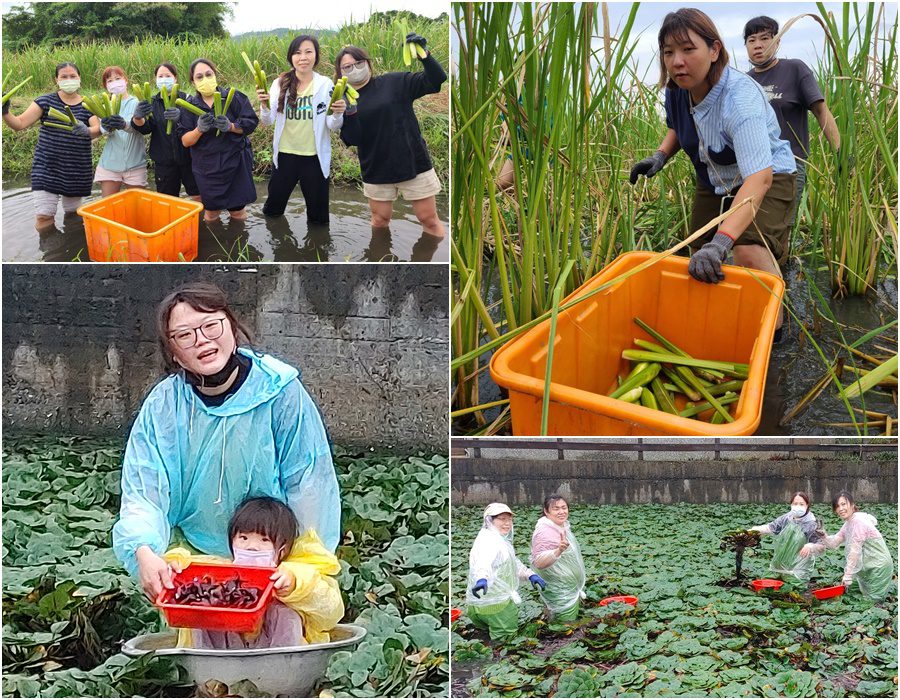 從田間到餐桌　聖母專校幼保食農教育　發現在地好味道 - 早安台灣新聞 | Morning Taiwan News