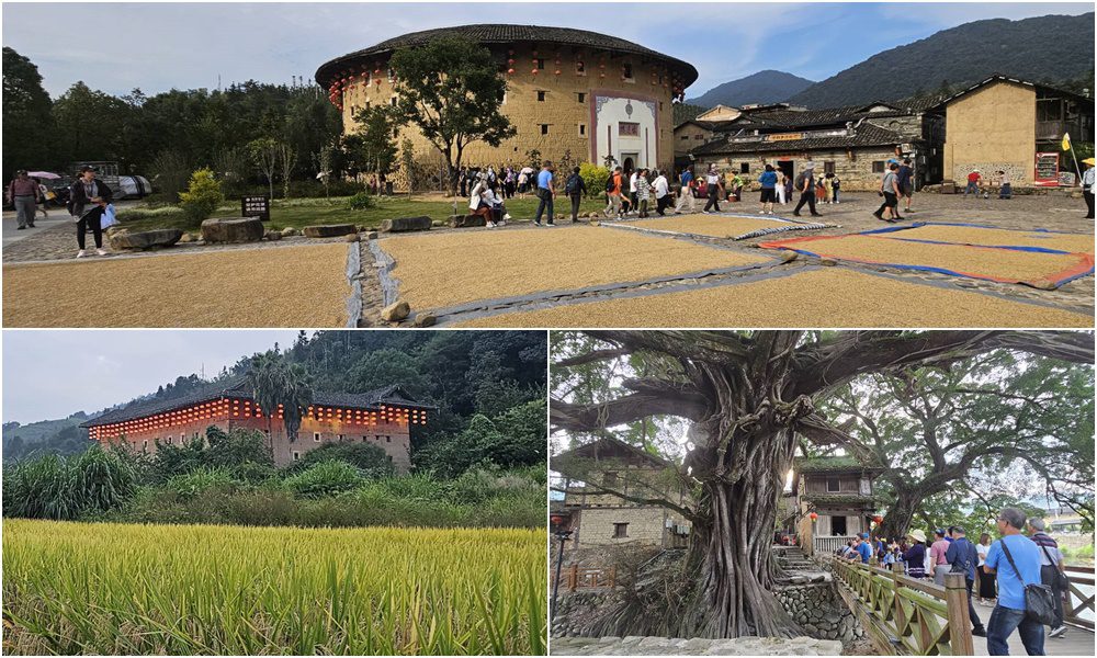 旅遊記趣∕南靖山區土樓燈籠高高掛　農家民宿一間一間開 - 早安台灣新聞 | Morning Taiwan News