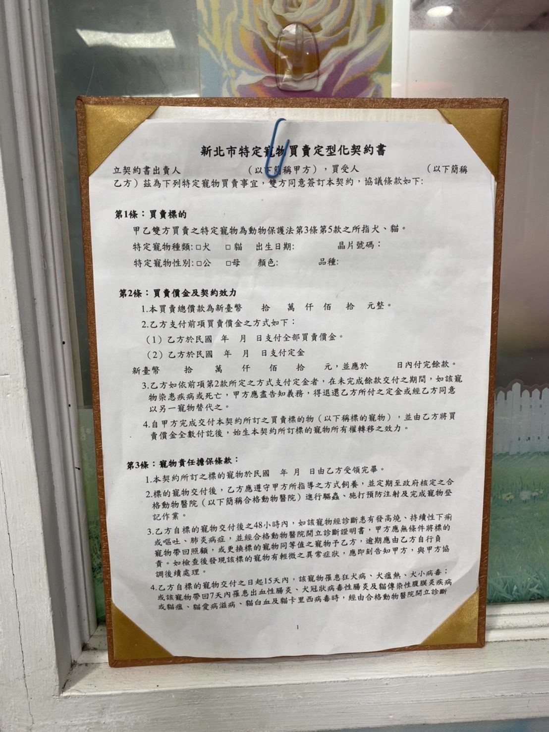 毛寶貝美容不幸過世 新北動保處與板橋調解委員合作調解 - 早安台灣新聞 | Morning Taiwan News