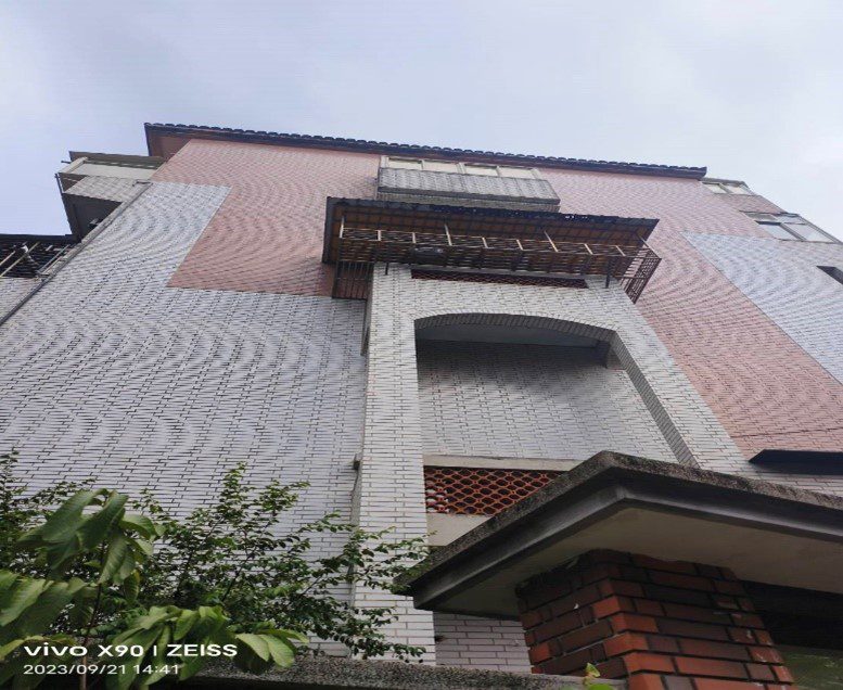 虎頭蜂逼近 新北市政府啟動教育宣導 保護市民遠離蜂螫威脅 - 早安台灣新聞 | Morning Taiwan News