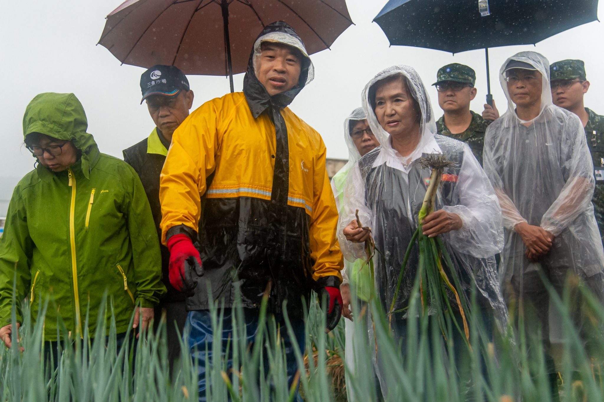 颱風來襲 林姿妙視察金柑及青蔥防颱情形 - 早安台灣新聞 | Morning Taiwan News