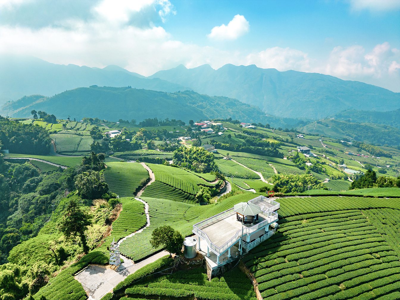 嘉義茶園步道受歡迎　文觀局短影音流量破百萬 - 早安台灣新聞 | Morning Taiwan News