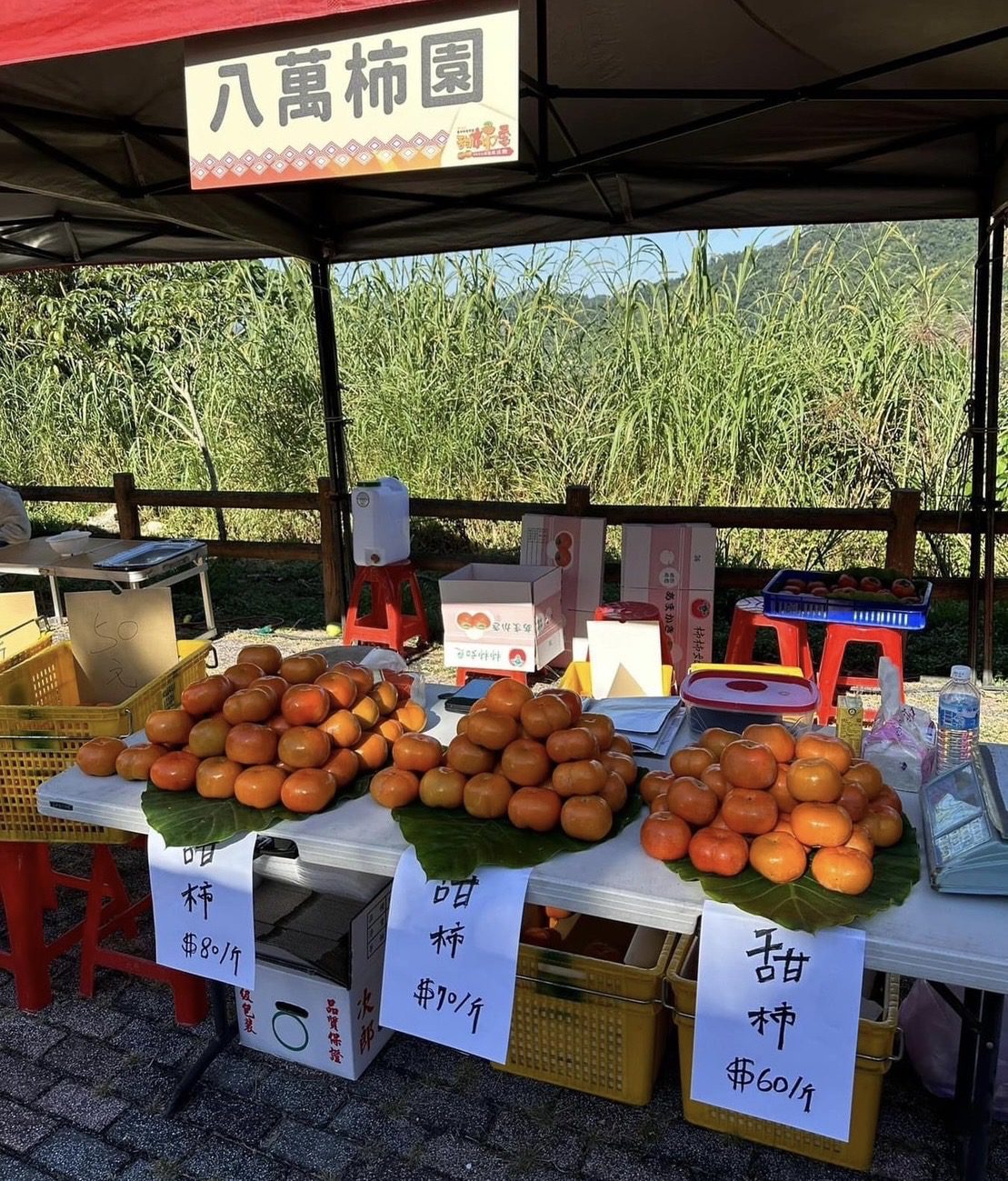 推廣部落觀光及產業 臺中市和平區舉辦甜柿季暨農特產⾏銷活動 - 早安台灣新聞 | Morning Taiwan News