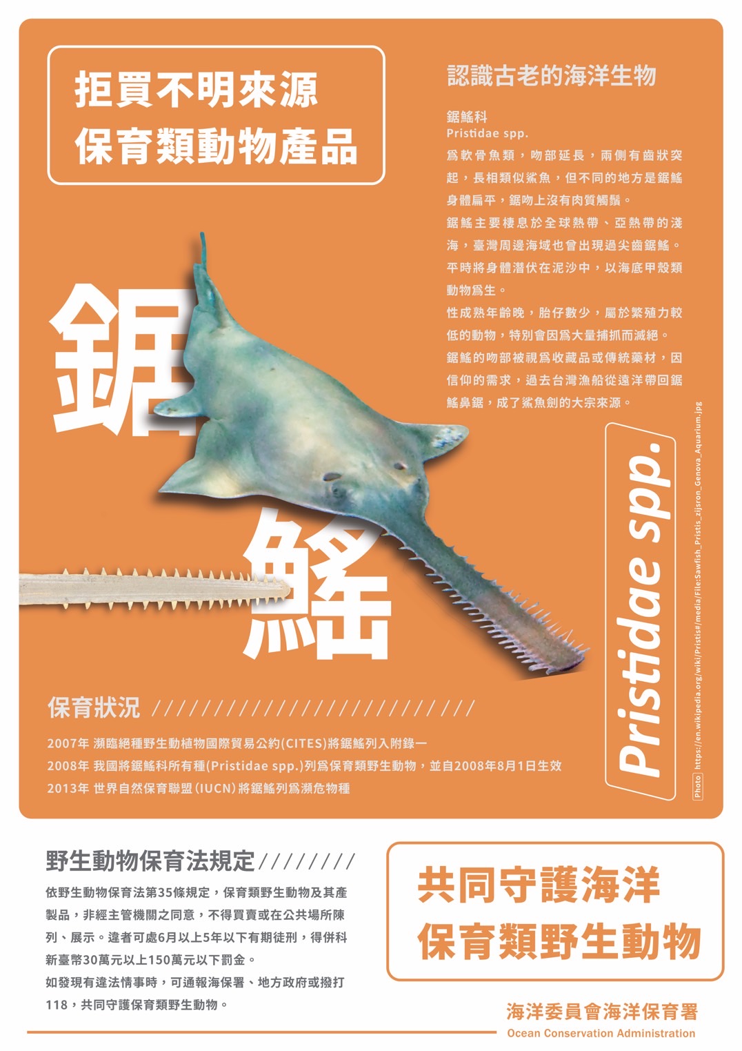 海保署：買賣「鯊魚劍」 最重可關5年、罰150萬 - 早安台灣新聞 | Morning Taiwan News