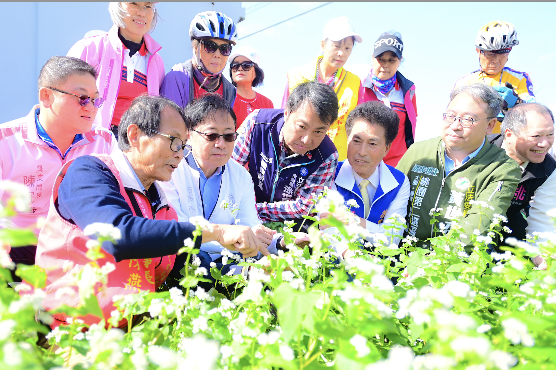 蕎麥之鄉再現美景 張善政助陣大園蕎麥花海推廣活動 - 早安台灣新聞 | Morning Taiwan News