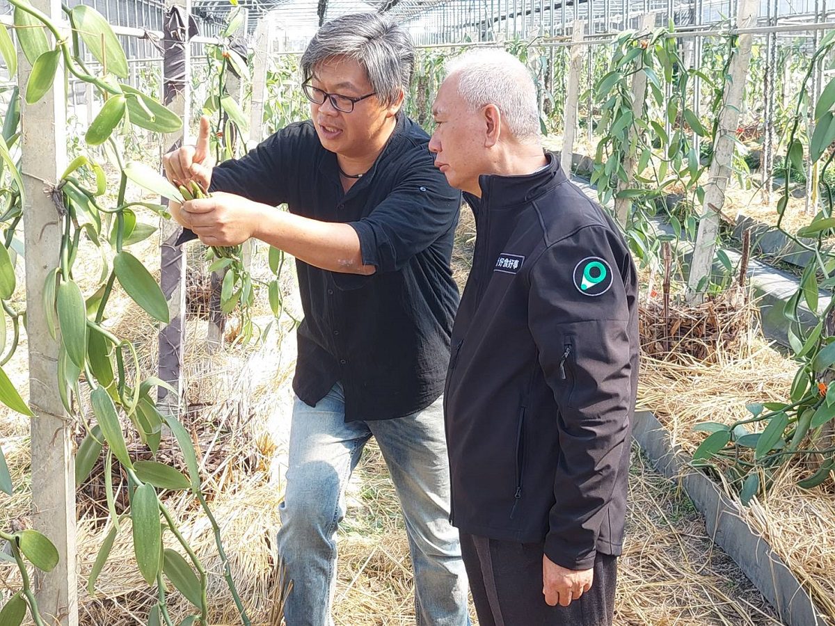 好食好事食農創生計畫　魏應充下鄉傳授管理方針食農創生團隊驚喜請益 - 早安台灣新聞 | Morning Taiwan News