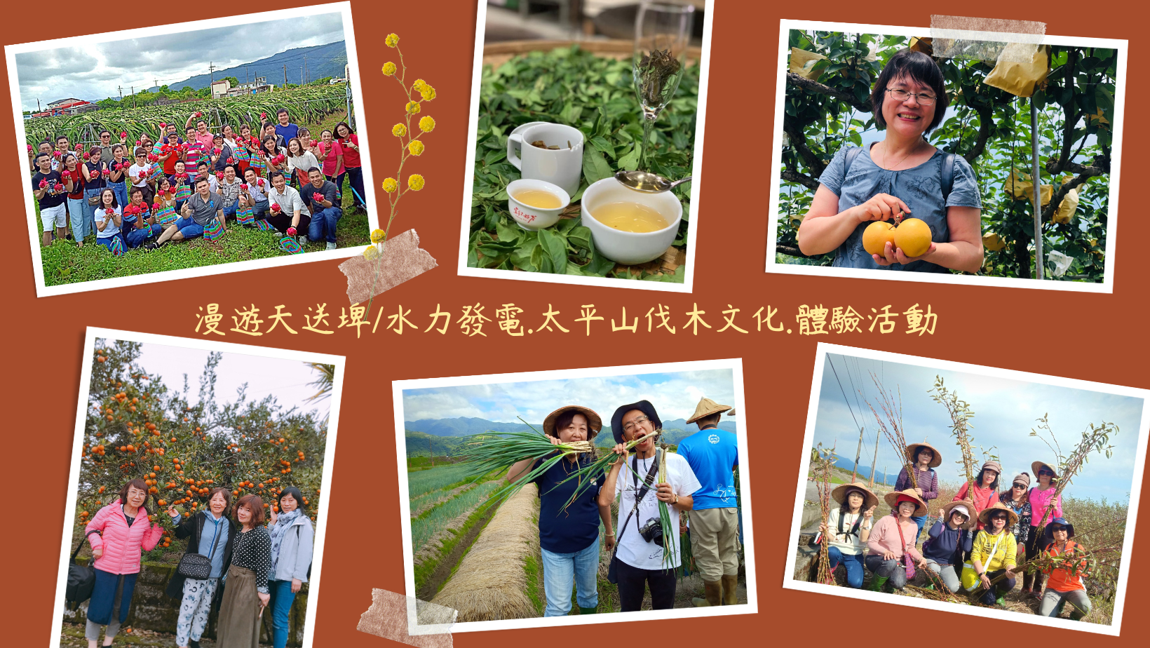 宜蘭天送埤休閒農業區舉辦產業媒合會　邀旅行業與學校參與 - 早安台灣新聞 | Morning Taiwan News