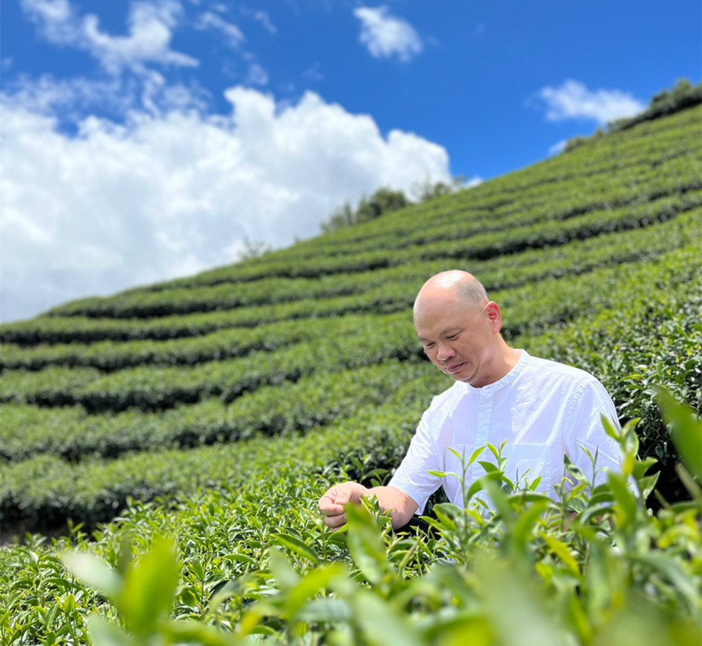 發揮社會責任-茶境天使飄茶   助伊甸讓愛更近 - 早安台灣新聞 | Morning Taiwan News