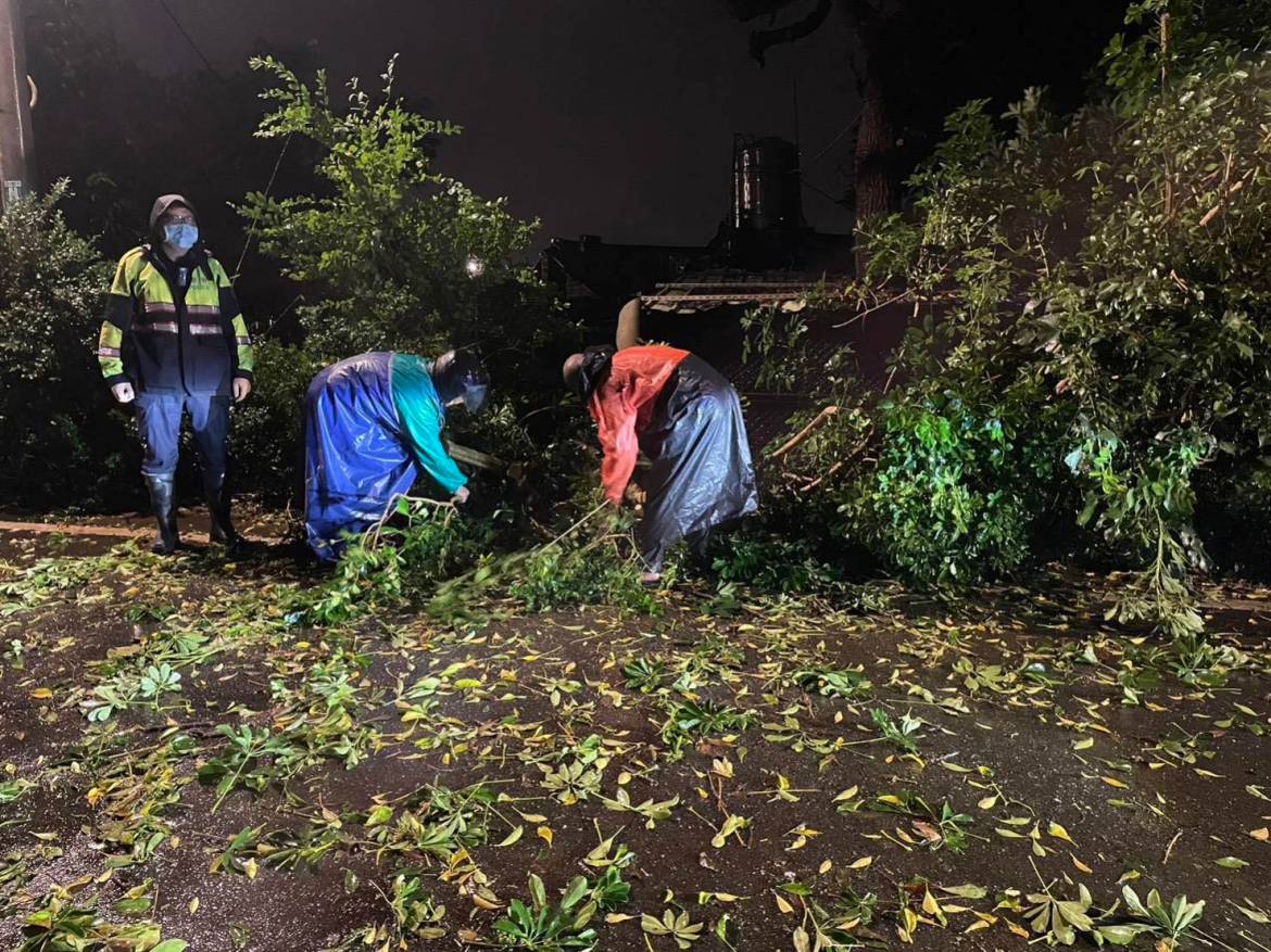 路樹不敵大雨倒路中 大園警及時處理恢復交通 - 早安台灣新聞 | Morning Taiwan News