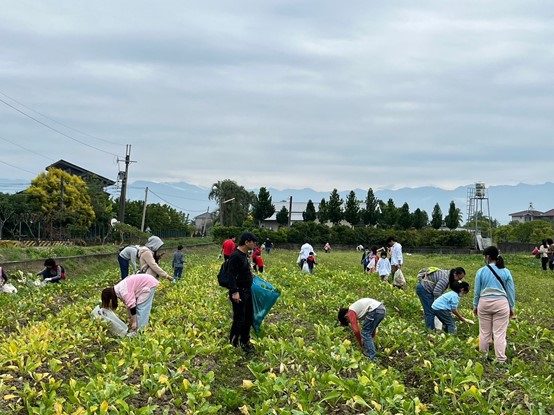 高師大與中鋼教育基金會推廣農產體驗 客家白玉蘿蔔特色饗宴 - 早安台灣新聞 | Morning Taiwan News