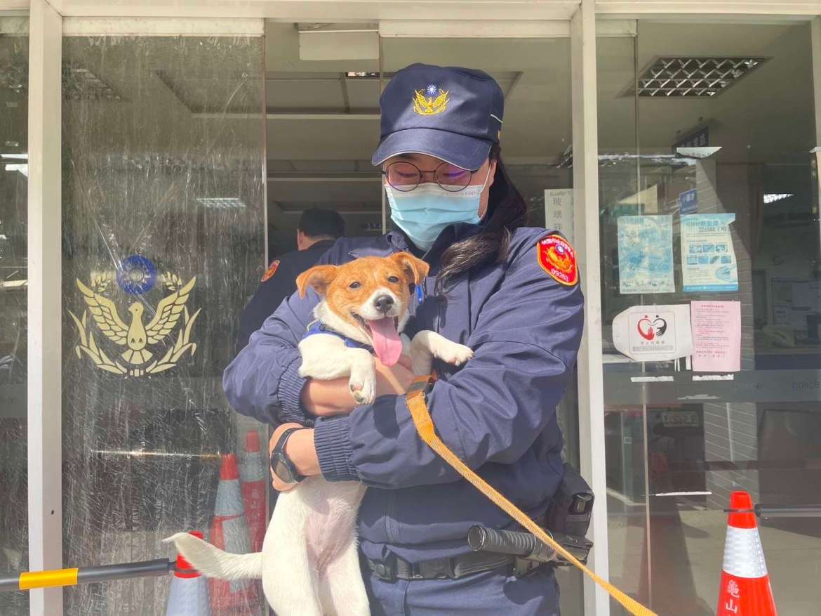 愛犬興奮過度走失 龜山暖警半小時火速尋獲 - 早安台灣新聞 | Morning Taiwan News