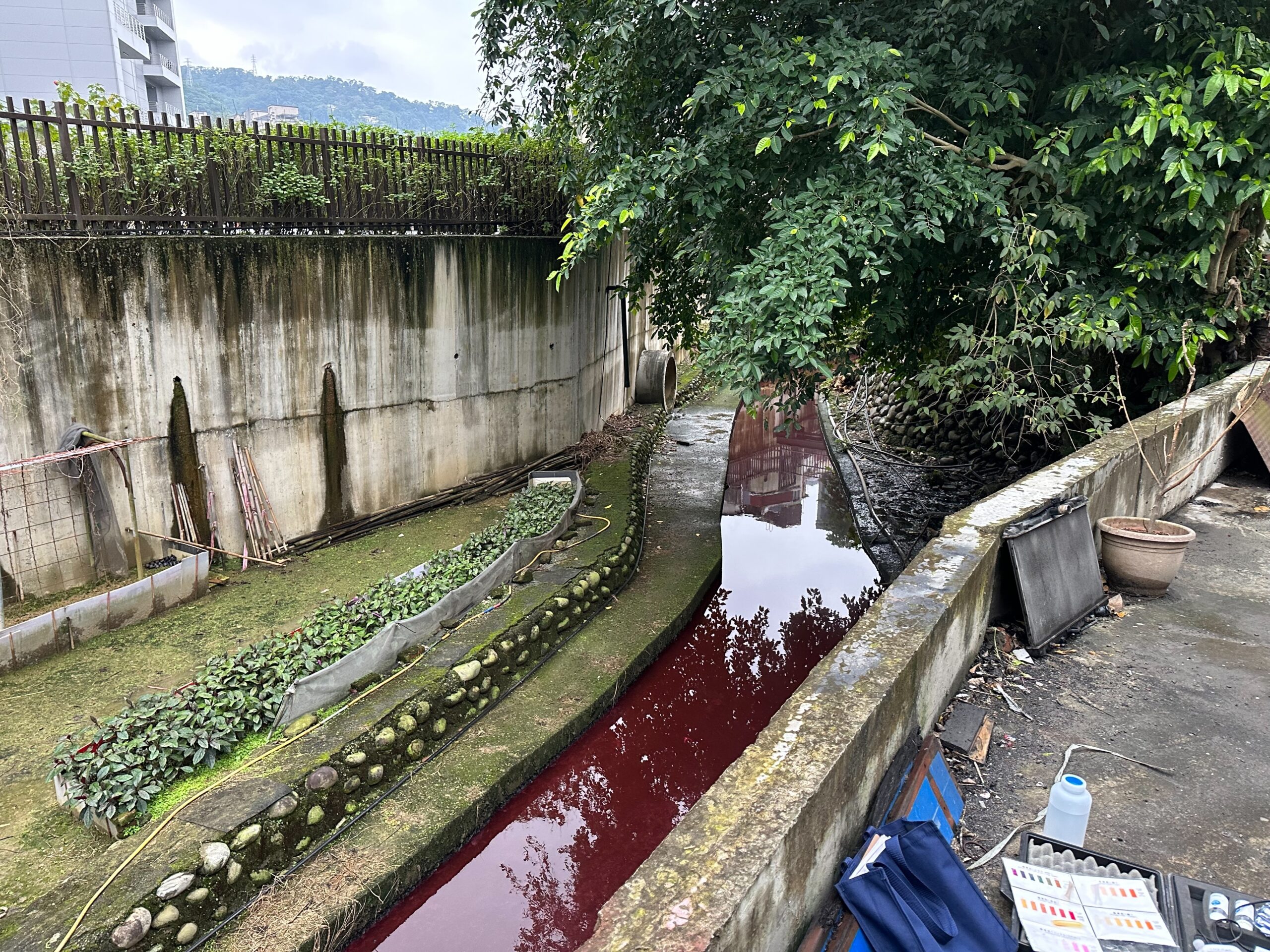 水溝現紅色廢水！新北公司涉排放遭罰款 最高600萬元 - 早安台灣新聞 | Morning Taiwan News