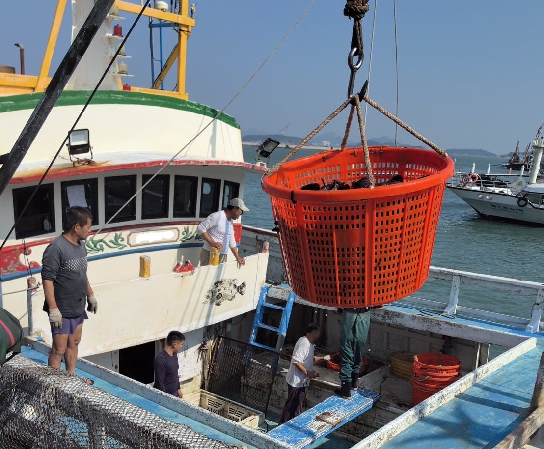 ECFA首批通過產銷檢驗石斑活魚 運抵福建東山銅陵港 - 早安台灣新聞 | Morning Taiwan News