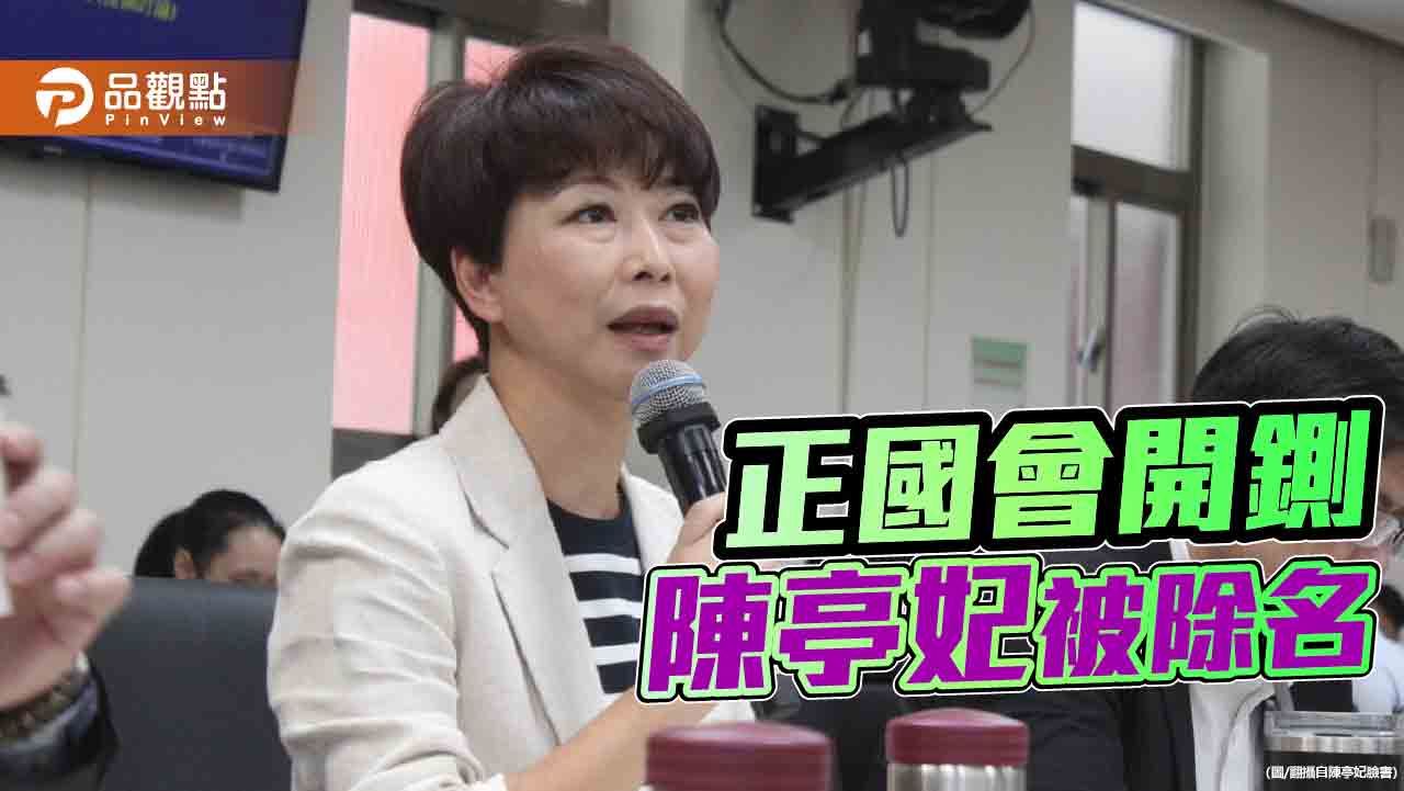 陳亭妃堅定參選中常委！違反派系重大決議　遭正國會除名