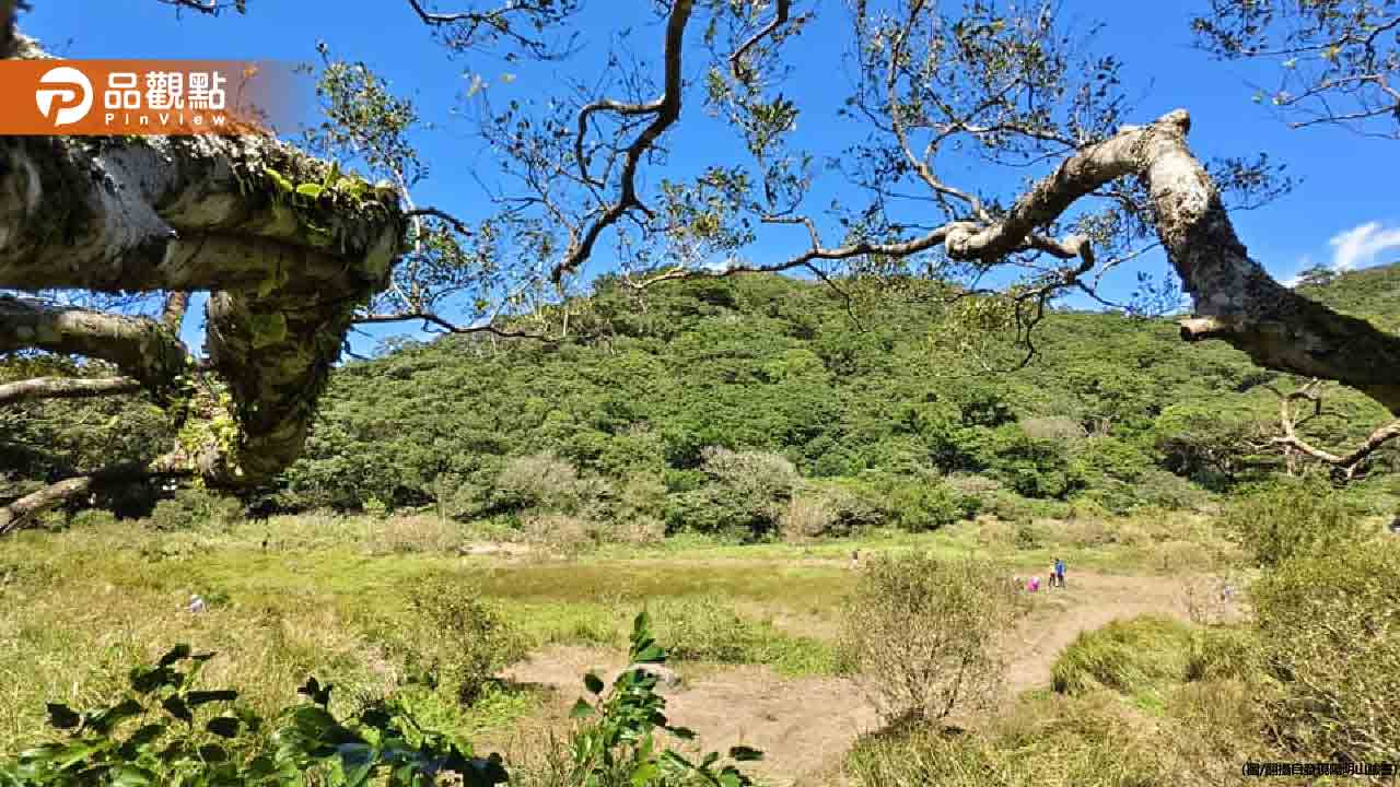 陽明山「向天蝦」最後觀賞期!謝金河曾踏水中挨批 - 早安台灣新聞 | Morning Taiwan News 陽明山「向天蝦」最後觀賞期!謝金河曾踏水中挨批