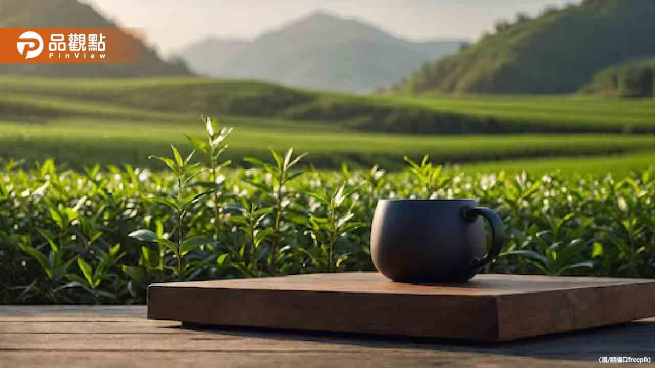 綠茶、紅茶哪個對健康好？醫曝最佳選擇
