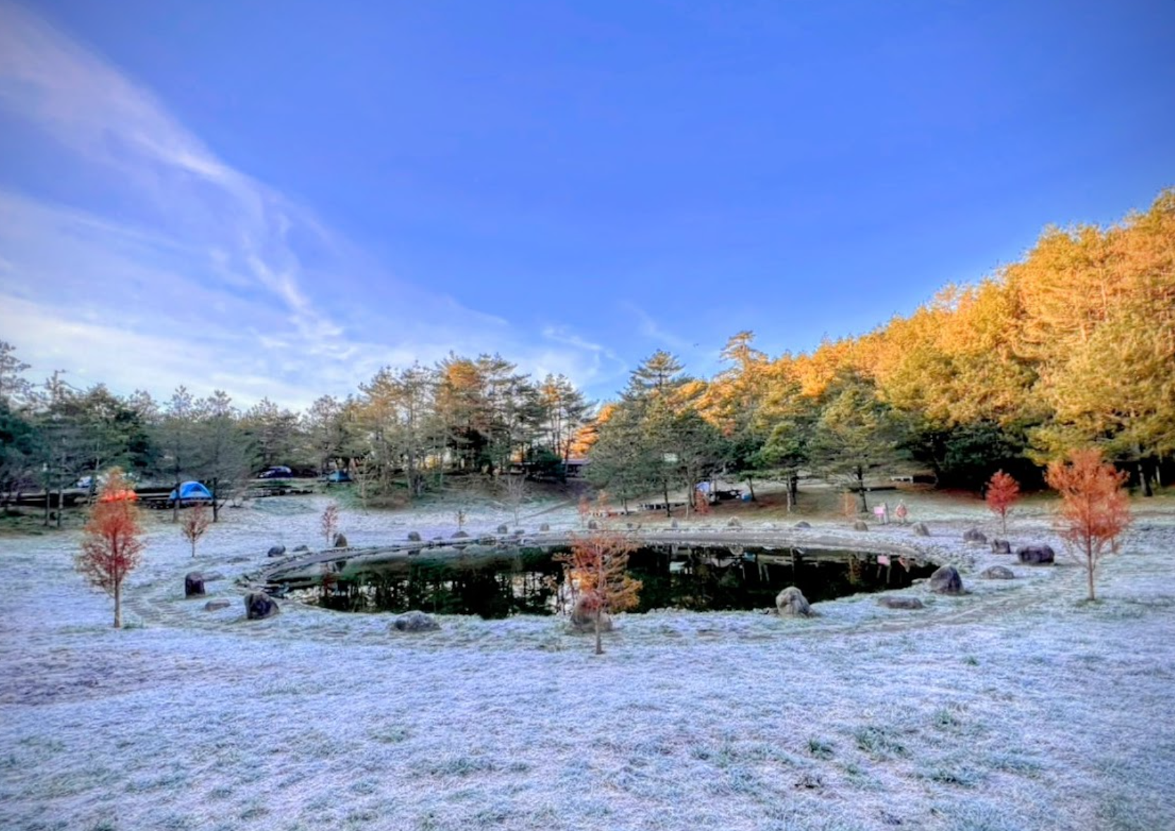 寒流襲台！福壽山農場現絕美冰湖奇景-梅花櫻花綻放