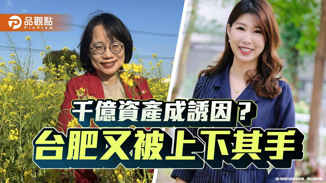 台肥成綠營糧倉？從吳音寧到陳右欣看賴政府的吃相與私心